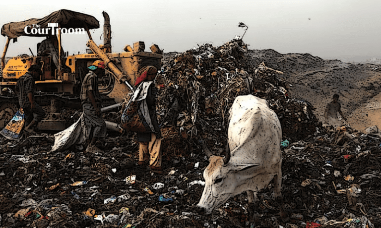 Delhi High Court Urges Action on Dangerous Dairies Near Trash Dumps
