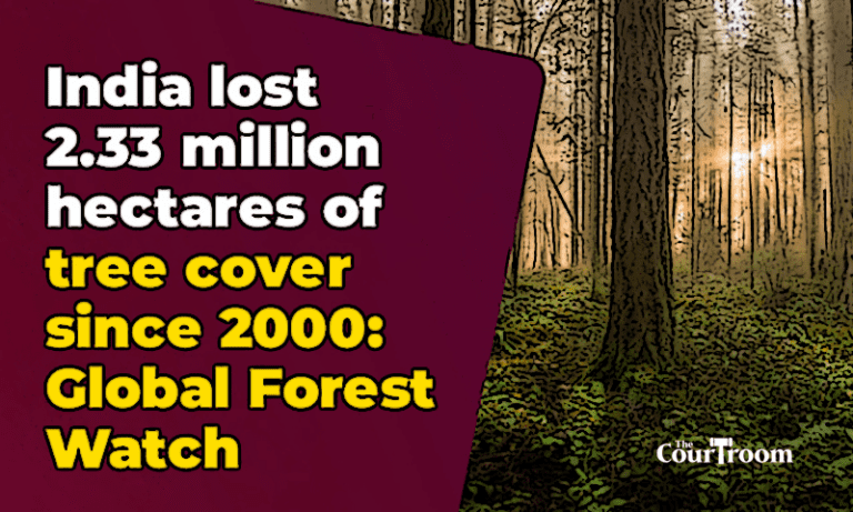 NGT Demands Central Government Response on 2.33 Million Hectares of Tree Cover Loss