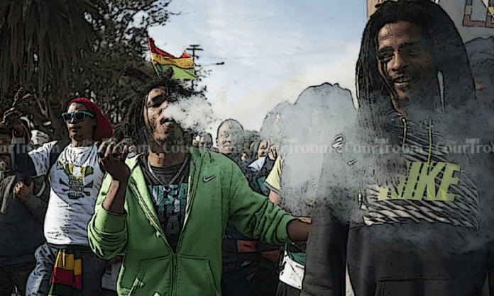 South Africa Legalizes Cannabis / Marijuana in a Landmark Decision ...