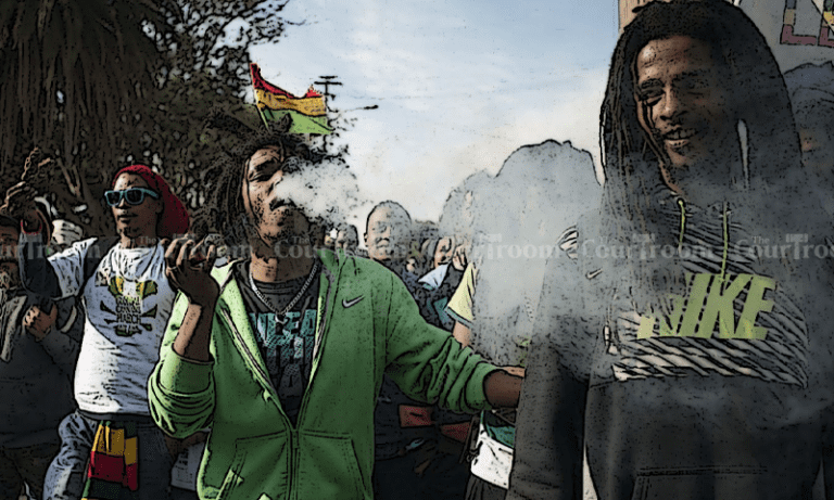 South Africa Legalizes Cannabis / Marijuana in a Landmark Decision: When the Rest of Will Africa Follow?