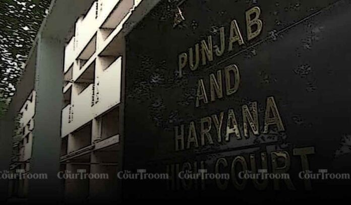 Punjab and Haryana High Court Affirms Protection for Live-in Couples, Even if One Partner is Married