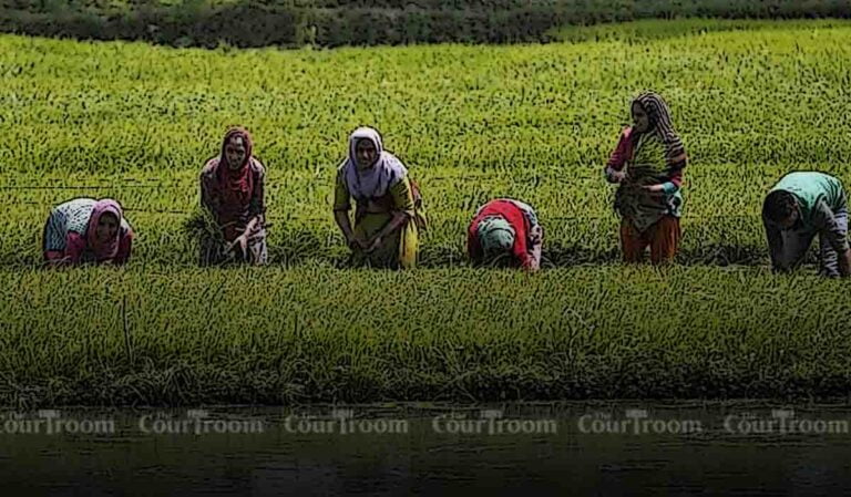 Centre Considers Rs 50,000-Crore Scheme for Agricultural Reforms, Three Years After Farm Laws Repeal