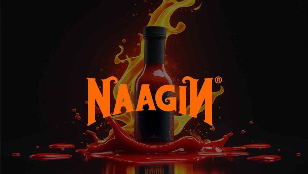 Naagin Raises ₹18 Crore: India’s Hottest Sauce Brand Just Got Spicier! Naagin Raises ₹18 Crore: India’s Hottest Sauce Brand Just Got Spicier!