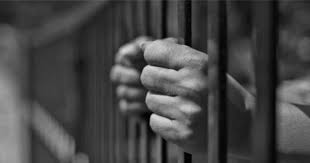 Undertrial Bail BNSS Section 479: Get Out Before Trial